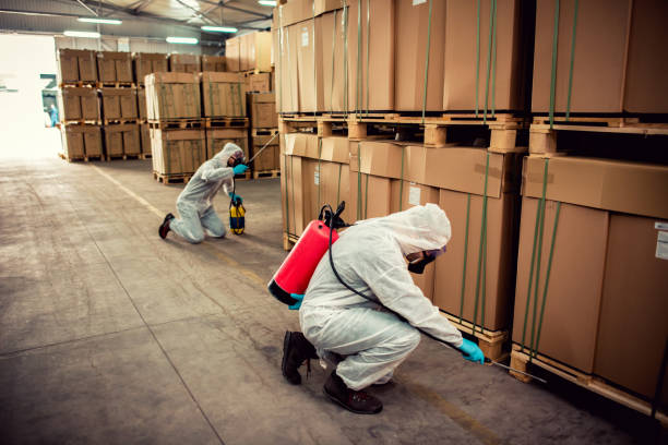 Best Bed Bug Extermination  in Turtle Creek, PA