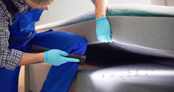 Best Affordable Pest Control Services  in Turtle Creek, PA