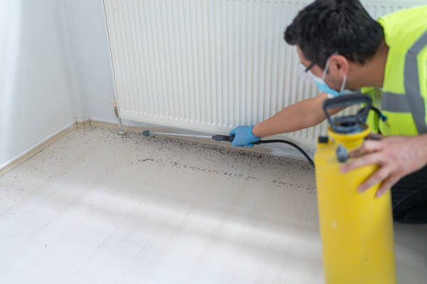 Best Pest Inspection Near Me  in Turtle Creek, PA