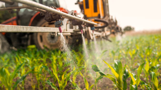Best Commercial Pest Control Services  in Turtle Creek, PA